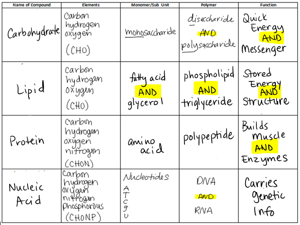 Monomers And Polymers Chart